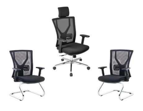 Ensemble de fauteuil Président