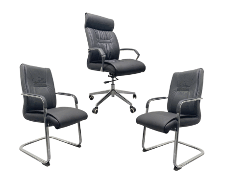 Ensemble de fauteuil Président