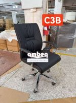 Fauteuil de Directeur